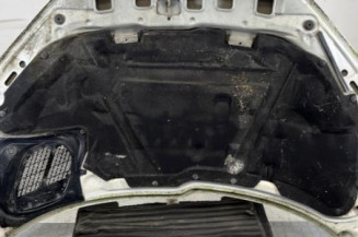 Capot PEUGEOT 206