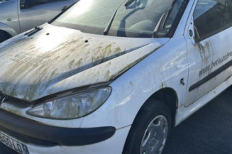 Capot PEUGEOT 206