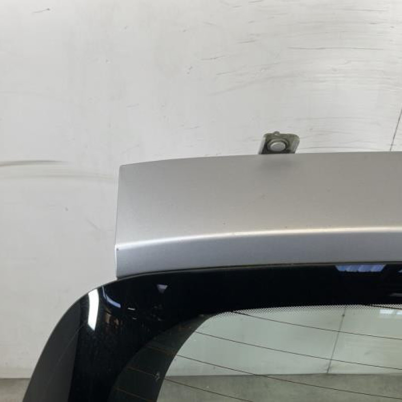 Malle/Hayon arriere RENAULT CLIO 3 Photo n°2