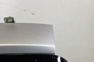 Malle/Hayon arriere RENAULT CLIO 3