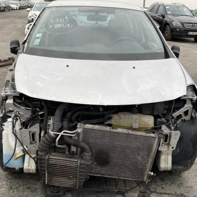 Malle/Hayon arriere RENAULT CLIO 3 Photo n°19