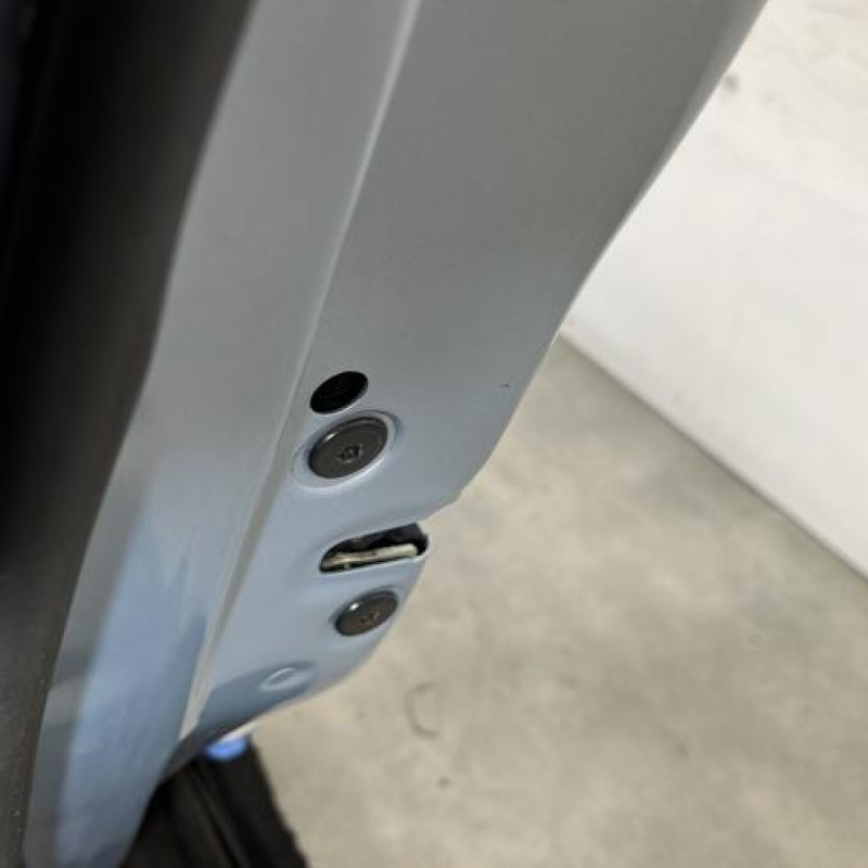 Porte arriere gauche RENAULT GRAND ESPACE 4 Photo n°3