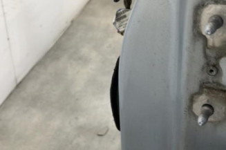 Porte arriere gauche RENAULT GRAND ESPACE 4