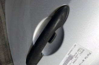 Porte arriere gauche RENAULT CLIO 3