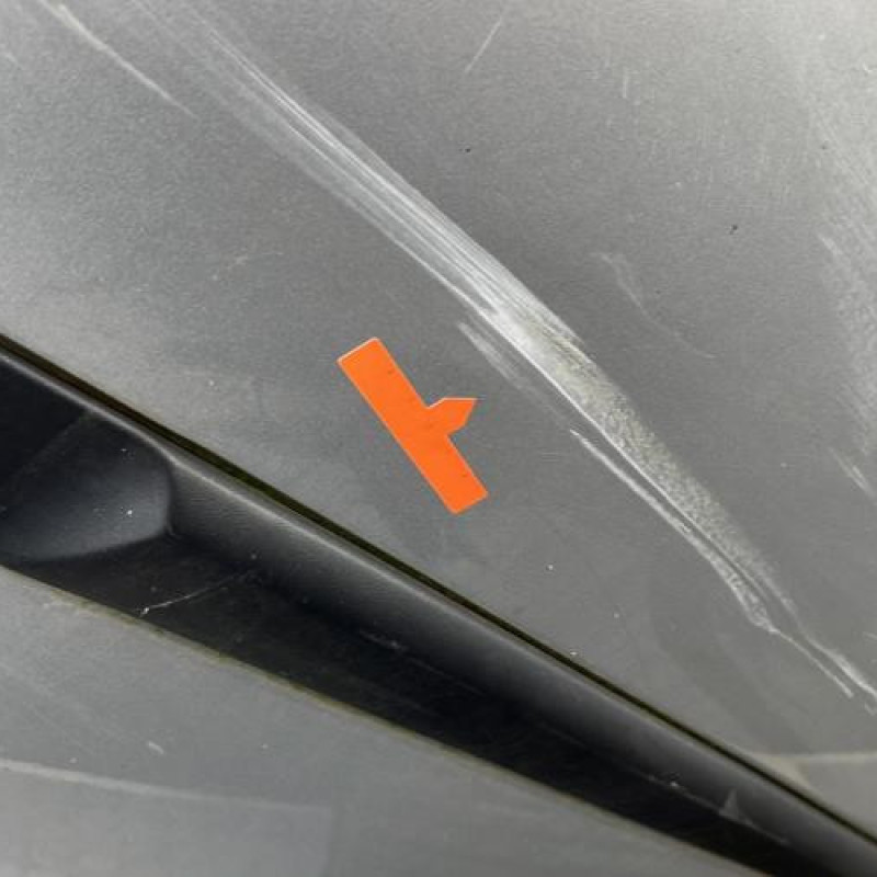 Porte arriere gauche RENAULT CLIO 3 Photo n°3