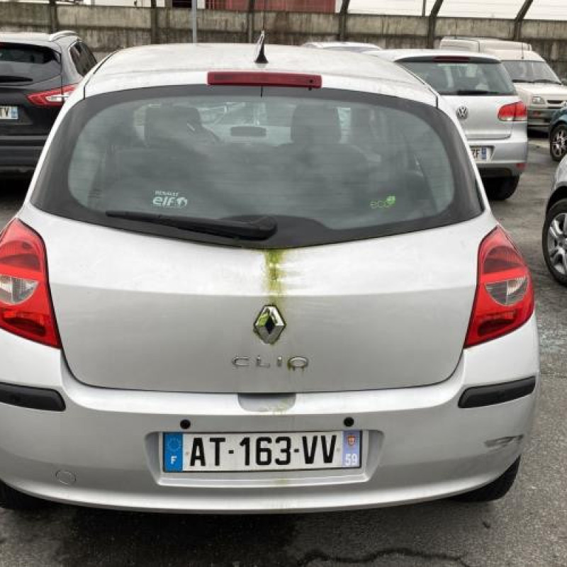Porte arriere gauche RENAULT CLIO 3 Photo n°11