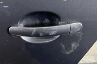 Porte arriere gauche VOLKSWAGEN POLO 5