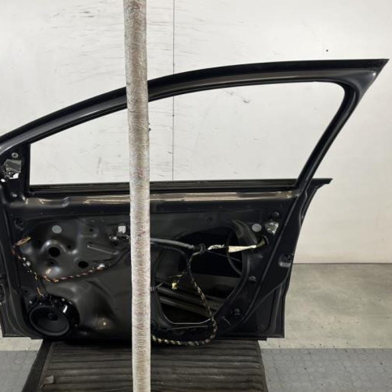 Porte avant droit VOLKSWAGEN POLO 5 Photo n°7