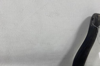 Bras essuie glace avant droit RENAULT MASTER 3