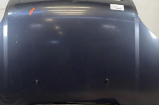 Capot FORD FUSION Photo n°1