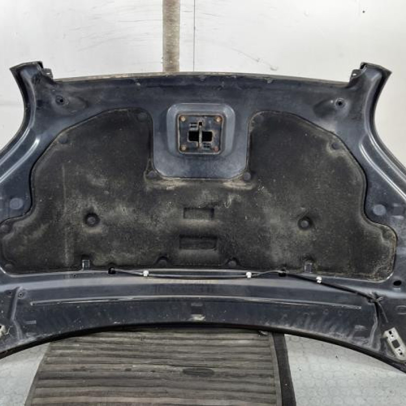 Capot FORD FUSION Photo n°10