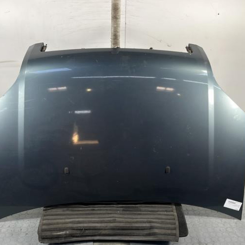 Capot FORD FUSION Photo n°1