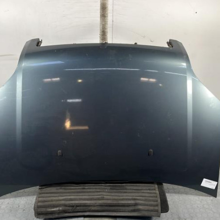 Capot FORD FUSION Photo n°1