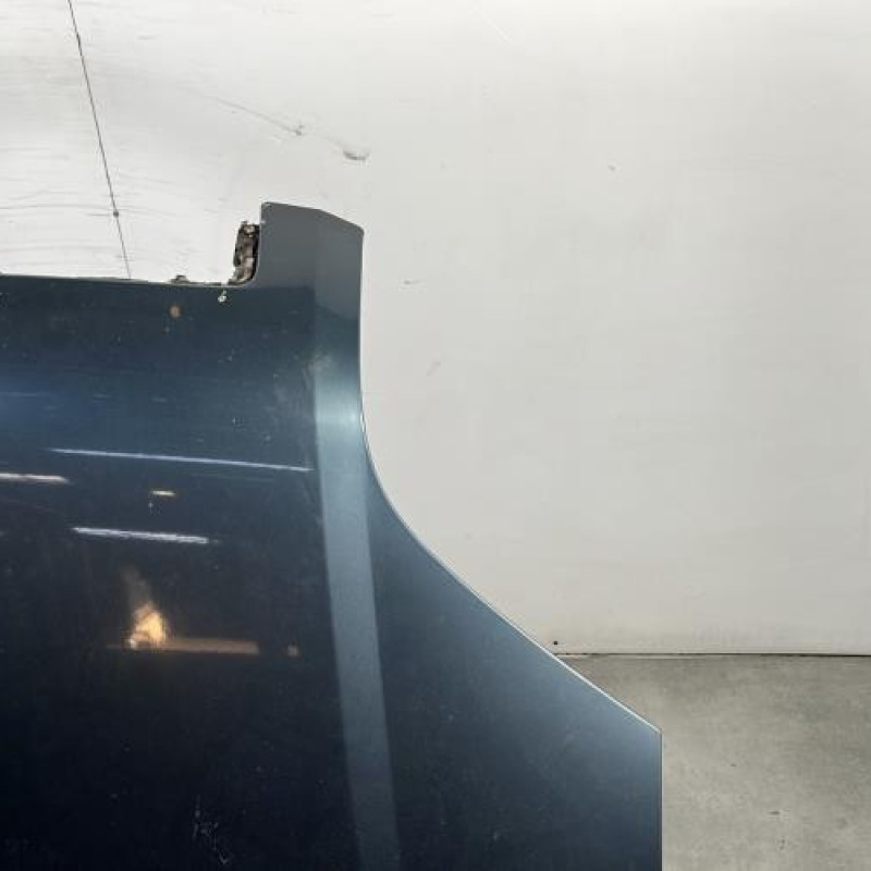 Capot FORD FUSION Photo n°3