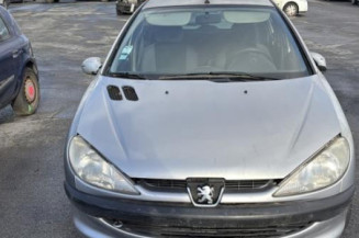 Tambour arriere gauche PEUGEOT 206