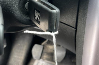 Catalyseur (echappement) PEUGEOT 207