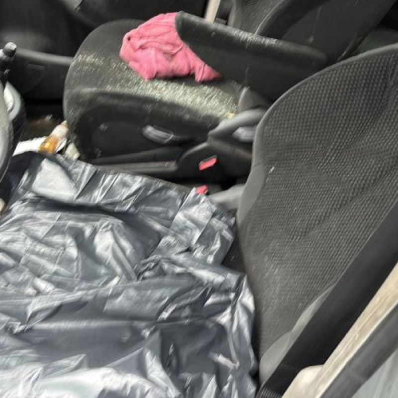 Catalyseur (echappement) CITROEN C4 GRAND PICASSO 1 Photo n°11