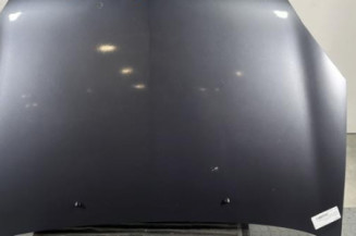 Capot RENAULT CLIO 2 Photo n°1