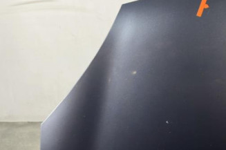 Capot RENAULT CLIO 2