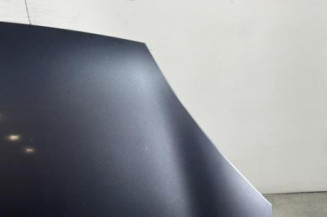 Capot RENAULT CLIO 2