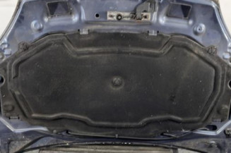 Capot RENAULT CLIO 2