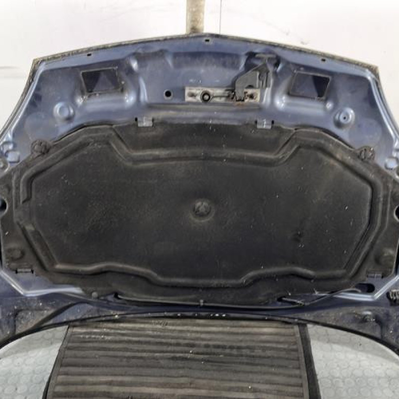 Capot RENAULT CLIO 2 Photo n°11