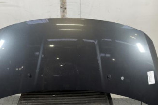 Capot PEUGEOT 3008 1 Photo n°1