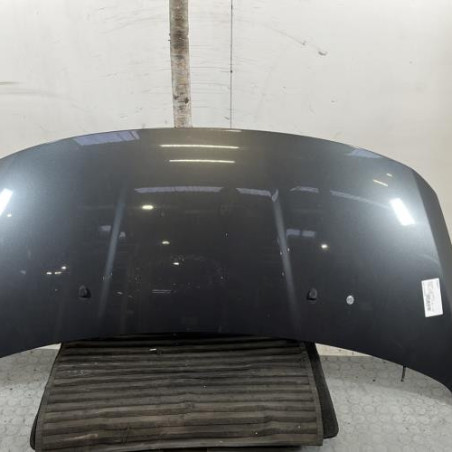 Capot PEUGEOT 3008 1 Photo n°1