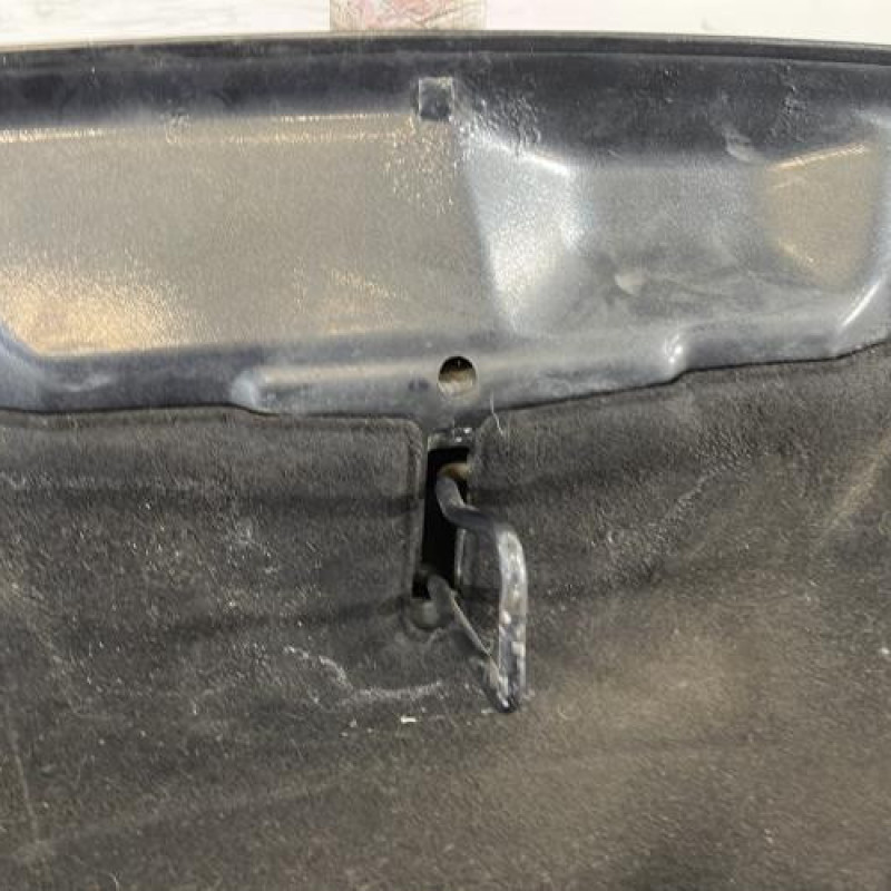 Capot PEUGEOT 3008 1 Photo n°6