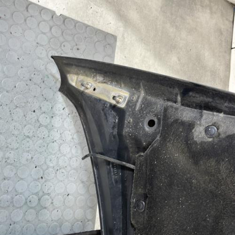 Capot PEUGEOT 3008 1 Photo n°7