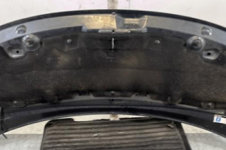 Capot PEUGEOT 3008 1