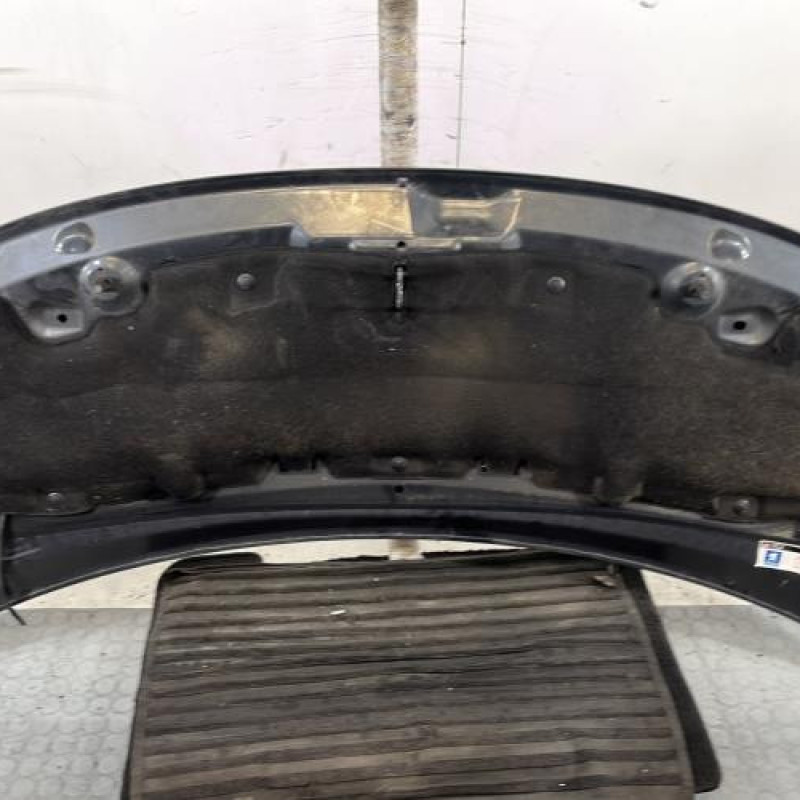 Capot PEUGEOT 3008 1 Photo n°9