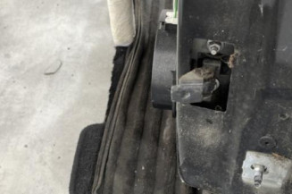 Porte arriere gauche RENAULT CLIO 4