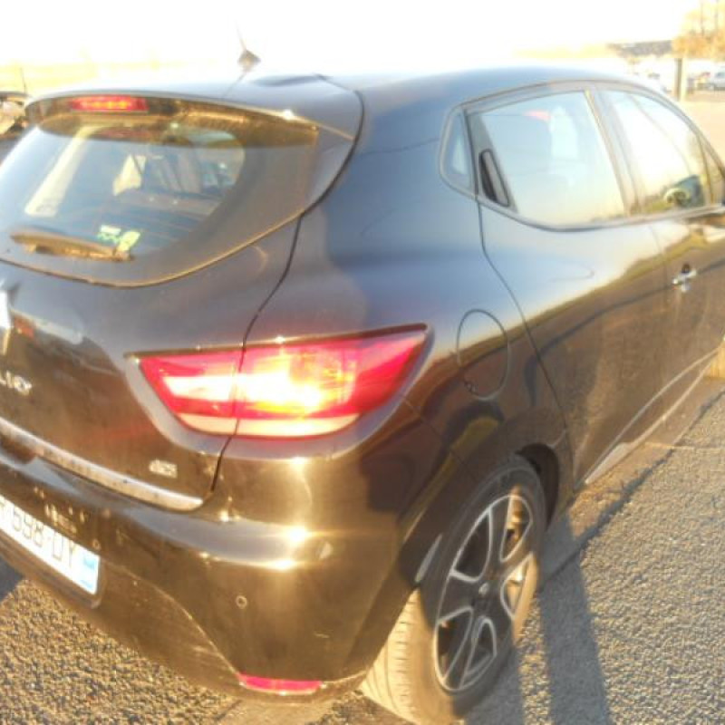 Porte arriere gauche RENAULT CLIO 4 Photo n°9