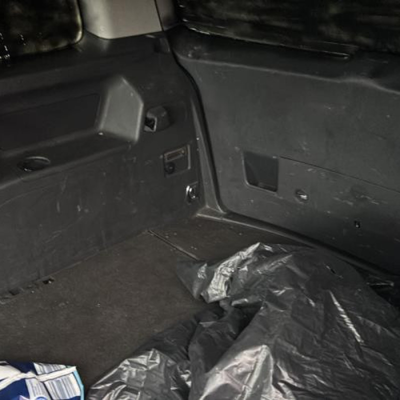 Poignee porte arriere gauche VOLKSWAGEN TOURAN 1 Photo n°14