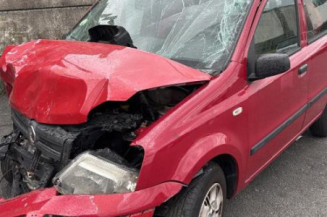 Porte arriere droit FIAT PANDA 2