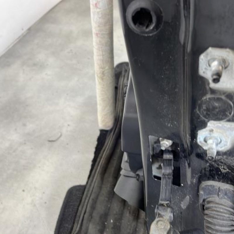 Porte avant gauche RENAULT CLIO 4 Photo n°4