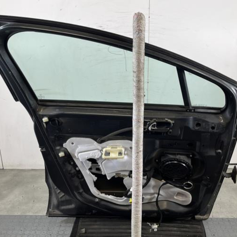 Porte avant gauche PEUGEOT 3008 1 Photo n°6
