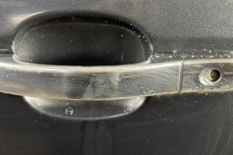 Porte avant gauche FORD FUSION