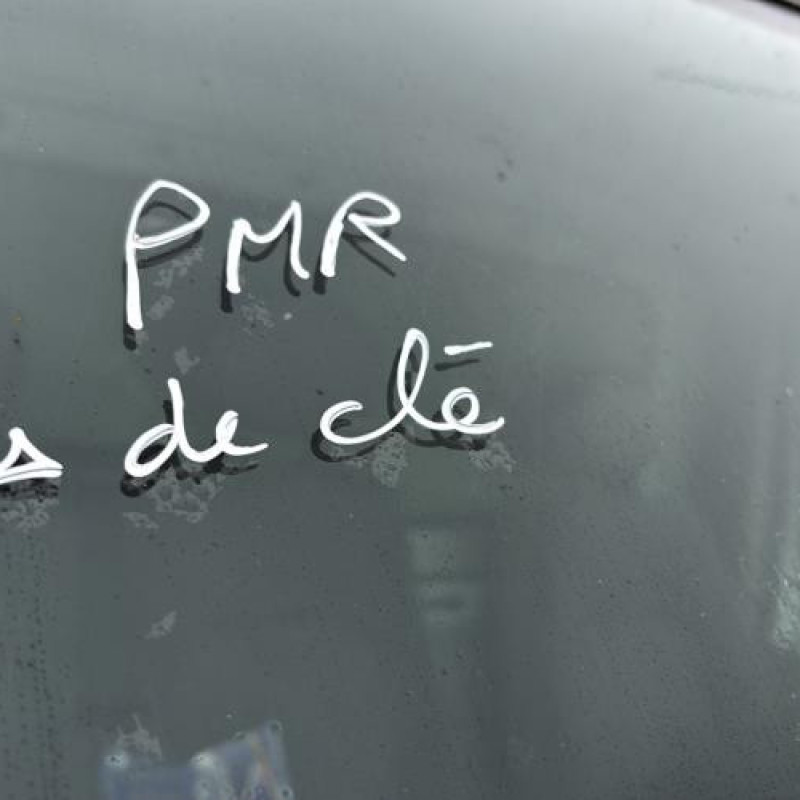 Pedale d'accelerateur RENAULT MASTER 2 Photo n°15