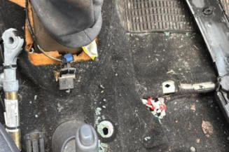 Pedale d'accelerateur RENAULT CLIO 2