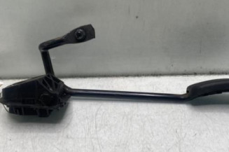 Pedale d'accelerateur RENAULT CLIO 2 Photo n°1