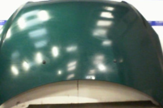 Capot PEUGEOT 307 Photo n°1