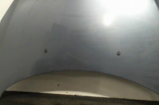 Capot PEUGEOT 307 Photo n°1