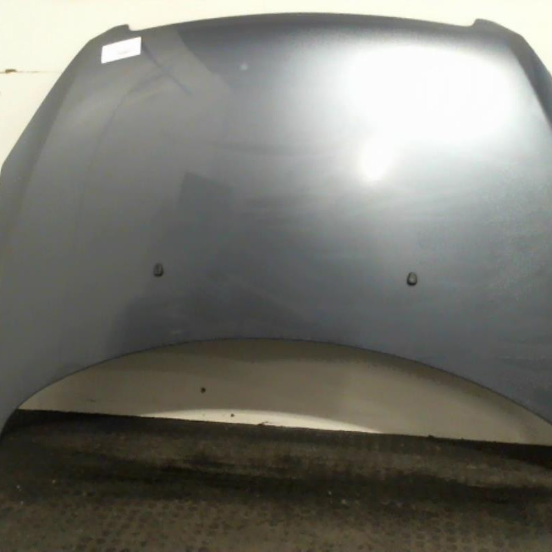 Capot PEUGEOT 307 Photo n°1