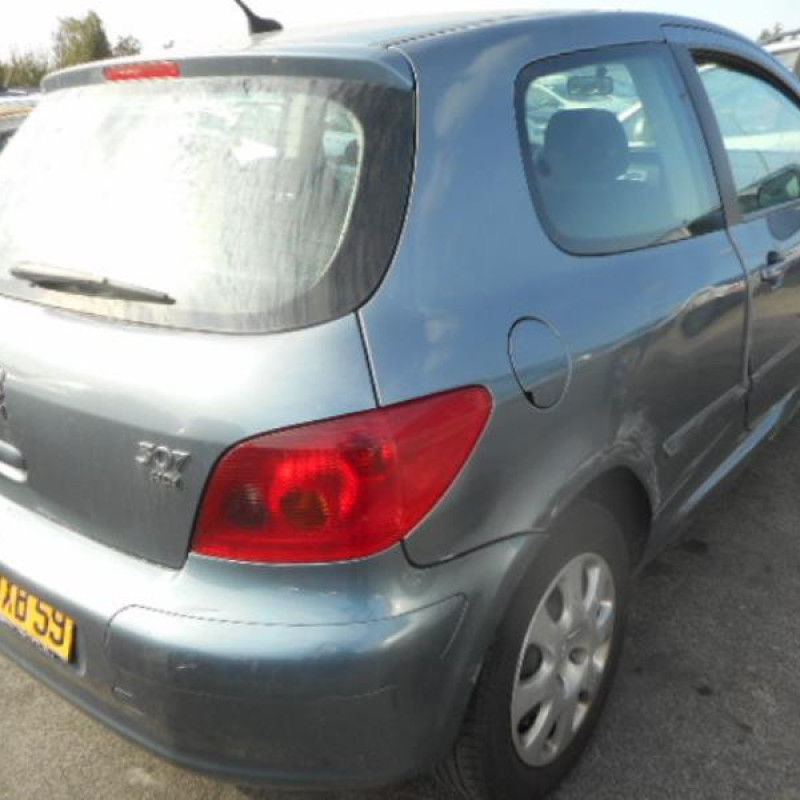 Capot PEUGEOT 307 Photo n°4