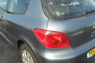Capot PEUGEOT 307