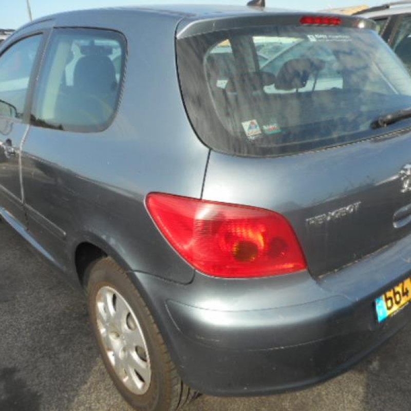 Capot PEUGEOT 307 Photo n°5