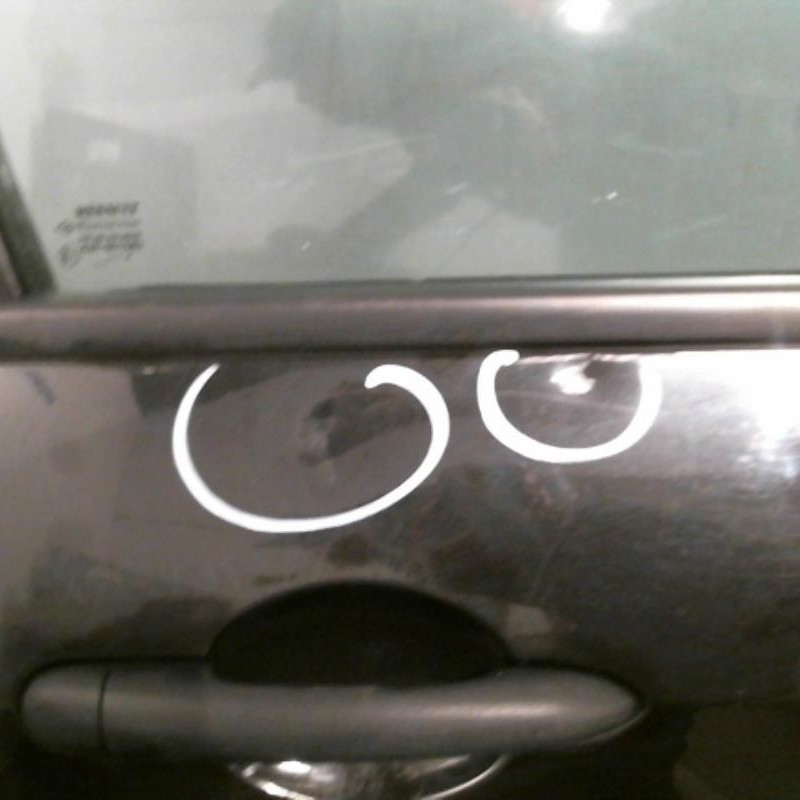 Porte avant droit RENAULT MODUS Photo n°3