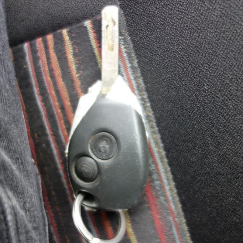 Porte avant droit RENAULT MODUS Photo n°12